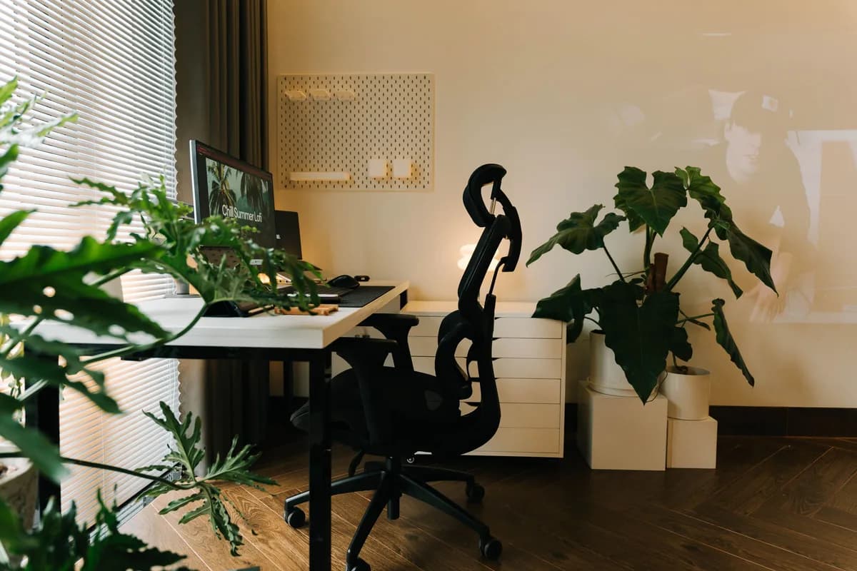 Zona de trabajo del despacho con suelo de parquet, plantas y ventanas al patio de manzana